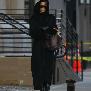 Irina Shayk other